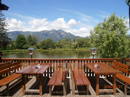 Unterkunft Gasthaus Kogler , Trofaiach