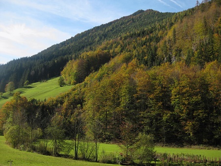 Unterkunft Ferienhaus Mendlingbauer, Gstling an der Ybbs