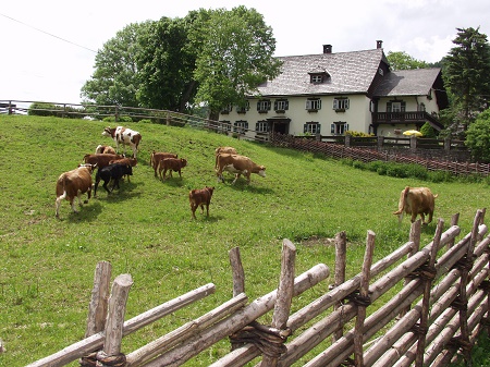 Familienpension Kobichl, szlls Annaberg / Niedersterreich