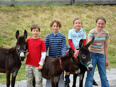 Ferienbauernhof - Schottenhof, szlls Fulpmes