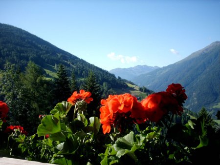 Unterkunft Appartements Martha, Matrei in Osttirol