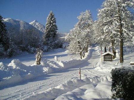 Biobauernhof Wegscheider, szlls Ktschach - Mauthen